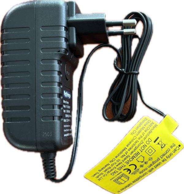 Polnilec za LiFePO4  baterijo 24V